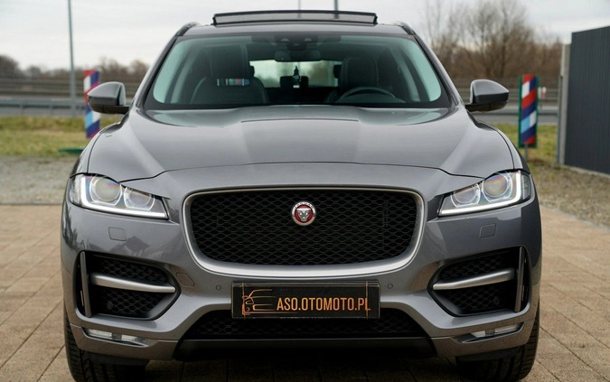 Jaguar F-Pace cena 104700 przebieg: 120157, rok produkcji 2019 z Otmuchów małe 781